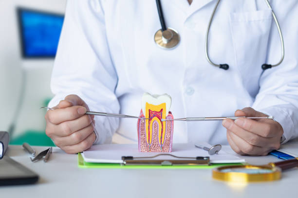 Best Emergency Root Canal Therapy in Centerville, UT